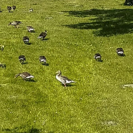 Wakenitz-villa Anno 1922 With River Access * Lubeka