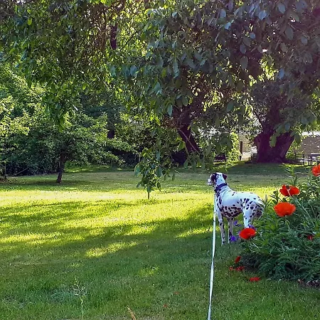 Wakenitz-villa Anno 1922 With River Access Apartament